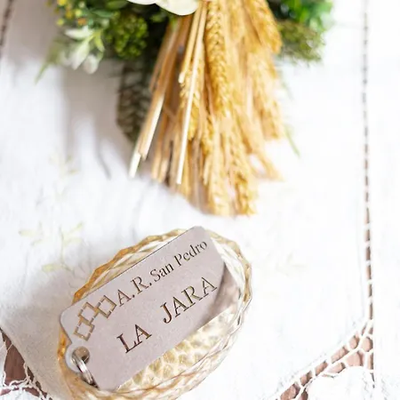 Apartment Rurales San Pedro